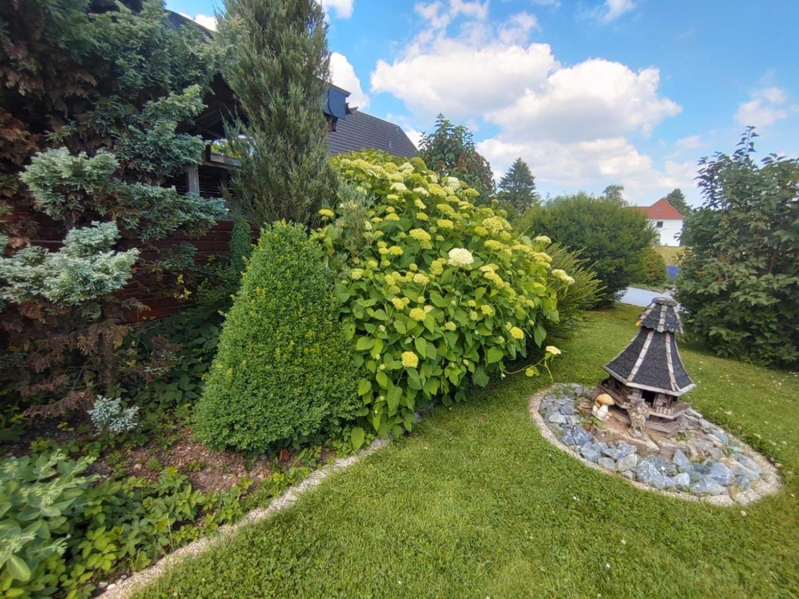 Ferienwohnung Rosa Horn-Bad Meinberg Buitenkant foto